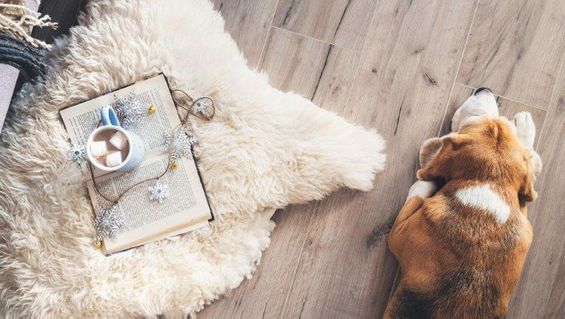 Sheepskin rug